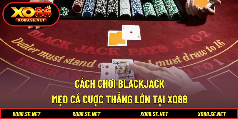 Cách Chơi Blackjack - Mẹo Cá Cược Thắng Lớn Tại XO88 1 Cách Chơi Blackjack