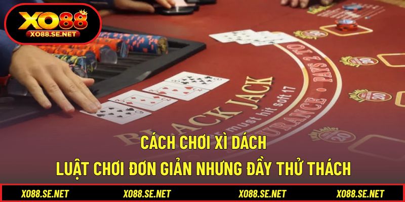 Cách Chơi Xì Dách - Luật Chơi Đơn Giản Nhưng Đầy Thử Thách 1 Cách Chơi Xì Dách
