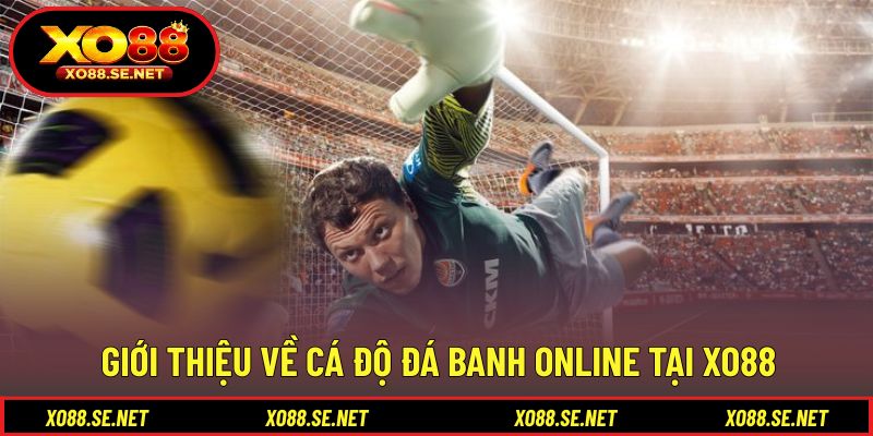 Cá Độ Đá Banh Online XO88 - Trải Nghiệm Giải Trí Kịch Tính 1 Cá Độ Đá Banh Online